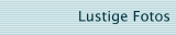 Lustige Fotos